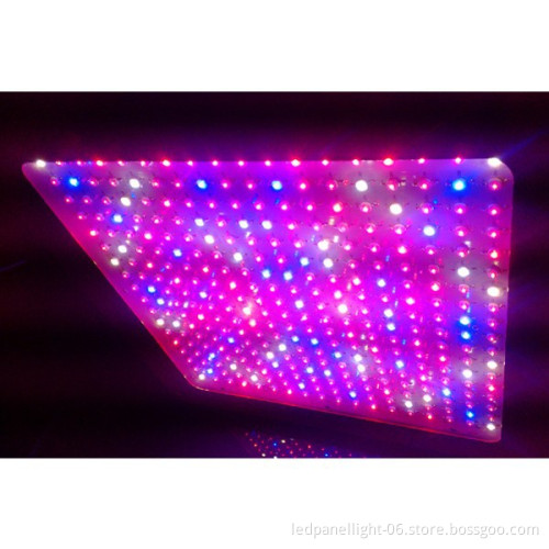 2014 good quality light !!1000w grow lights for sale well mushroom growing equipment
